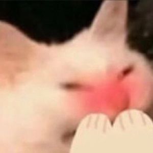 Meet your Posher, Erik